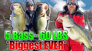 BIGGEST 5 Bass Limit EVER Caught on Film!! (60 POUNDS)