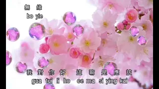 Ciok Hok {祝福} Lagu Hokkian karaoke no vocal female 台語女版伴奏 by request