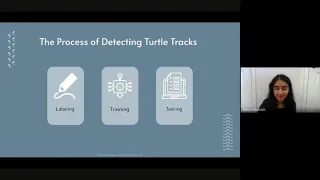 AI in the Sky: A Sea Turtle Track Monitoring Drone