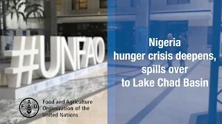 Nigeria hunger crisis deepens, spills over into Lake Chad Basin