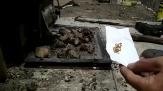 Золото найдено в каменном угле