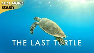 The Last Turtle | Wildlife Documentary | Full Movie | Dominica