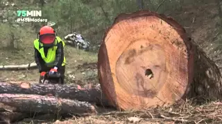 75 Minutos | Más madera