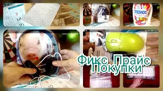 Fix Price покупки 2018-2019.Для дома, для семьи.Наушники, мышь, моющие средства, еда.