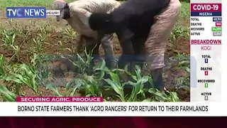 Borno State Farmers Thank 'Agro Rangers' For Return To Their Farmlands