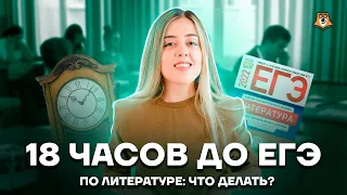 18 часов до ЕГЭ по литературе: что делать? | Литература ЕГЭ 2022 | Умскул