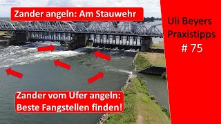 Zander angeln vom Ufer: Hotspot am Wehr