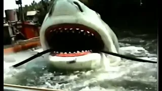 jaws ride 1999