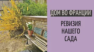 дом во Франции| наш сад | обзор растений