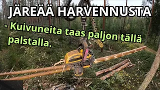 Välillä harvennushakkuuta ja onkin jo aika järeää puuta tällä savotalla. Ponsse Scorpion K H7 AC FC