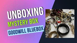 Jewelry Unboxing - Mystery Lot Box from Goodwill Bluebox Nashville TN