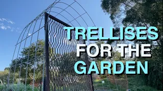 Six New Trellises from Old Materials for my Permaculture Vegetable Garden