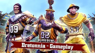 How To Play Brettonians! AndyDavo Blood Bowl Brettonia Guide [Match 1]