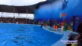 На Арабатской стрелке открылся дельфинарий "Оскар-Геническ"