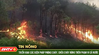 Thủ tướng chỉ đạo quyết liệt triển khai các biện pháp phòng cháy chữa cháy rừng trên phạm vi cả nước