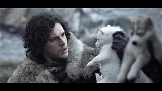 Game of Thrones S1 - Dire Wolf Puppies.  One for each of Stark children.  "You will train them."