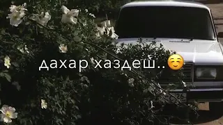 Ирсе безам мерза безам кхойкху вайга цо