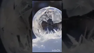 soap bubble in the cold/мыльный пузырь на холоде