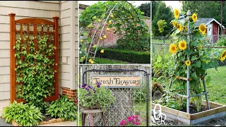 87+ DIY GARDEN TRELLIS IDEAS | MY GARDEN TV