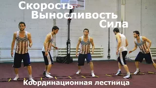 Endurance-Exercise with coordination ladder. Simple tips and exercises. Year of sport # 4