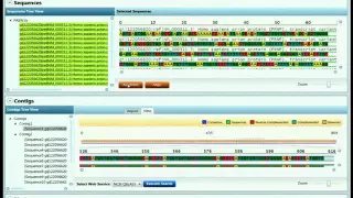 Sequence Assembler:  De Novo Assembly