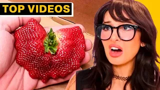 MOST INCREDIBLE People Who Got Lucky With Food! | SSSniperWolf