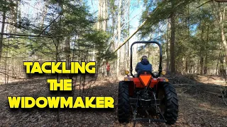 Hung Tree Removal With Tractor and Chain - Dropping Hung Trees - Dangerous Widowmakers - Forestry