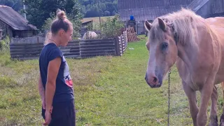 Жизнь в деревне, ЖЕНА ПРИЕХАЛА! Пока МОЛОДЫЕ привыкаем к глубинке и учимся работать.