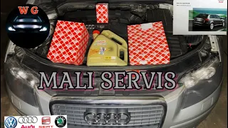 MALI SERVIS.Audi A3 1,6+KAKO KUPITI ULJE PREMA PREPORUCI FABRIKE!