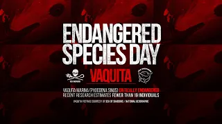 Endangered Species Week Feature Video: Vaquita