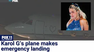 Karol G's plane makes emergency landing