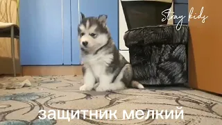 не ну а чо :)