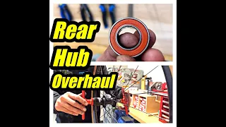 Rear Bicycle Hub Cartridge Bearing Replacement