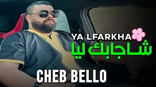 Cheb Bello 2023 | Ya Farkha Cha Jabek Liya  يا الفرخا شا جابك ليا  Avec Yousri Oscar Live هبال