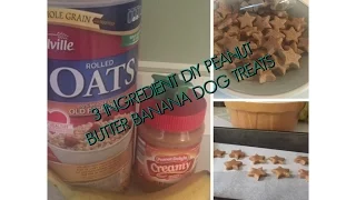 Homemade Peanut Butter Banana Dog Treats.....Just 3 Ingredients!