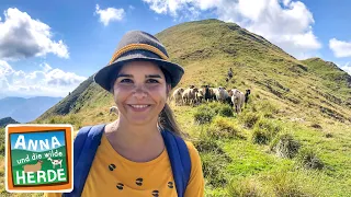 Ab in die Berge | Reportage für Kinder | Anna und die wilde Herde | 04