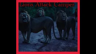 Lions Attacking Camper at Night