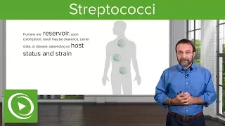 Streptococci – Microbiology | Lecturio