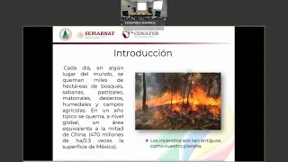 Curso: Prevención de incendios urbanos y forestales 2020, Tema 3