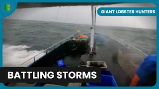 Braving the Storm for Lobsters - Giant Lobster Hunters - Documentary