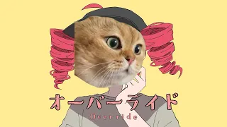 オーバーライド-説教猫