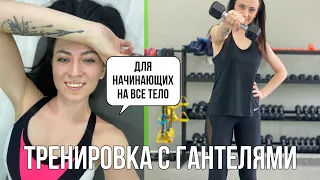 Тренировка с гантелями для начинающих на все тело. FITLIFE