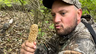 Morel mushroom hunting (Final Hunt) of the season!