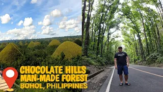 MAN MADE FOREST & CHOCOLATE HILLS - Bohol, Philippines