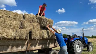 Завершення сезону! Супер рулет з кабачків💥💥💥Акція від ARPAL