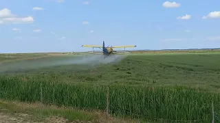 Antonov An2 crop dusting