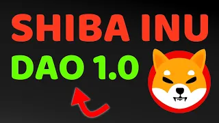 BIGGEST SOFTWARE LAUNCH FROM SHIBA INU - POWER STRUGGLE