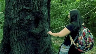 Return to the Devil Tree - Trailer