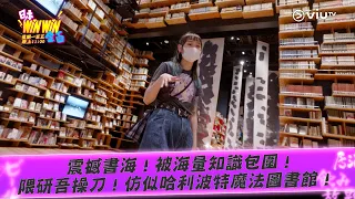 《日本winwin企画》 震撼書海！被海量知識包圍！隈研吾操刀！仿似哈利波特魔法圖書館！