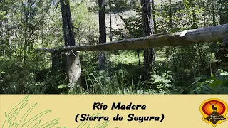 Río Madera (P.N. Sierra  de Cazorla, Segura y las Villas) | De rutas por la naturaleza